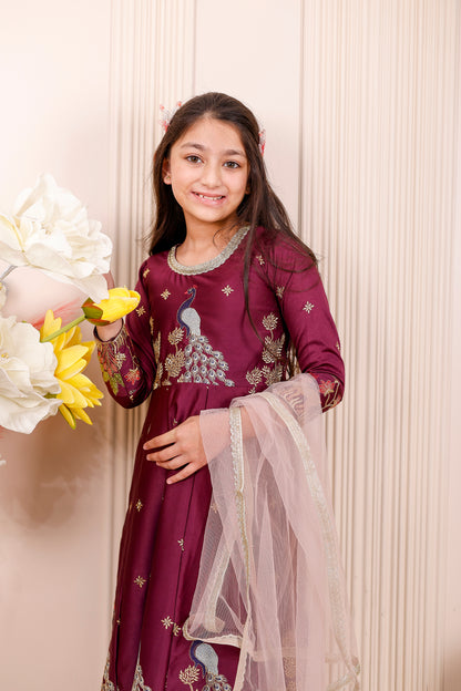 Wine Peacock Embroidered Girl dress Outfit Set ✨🦚