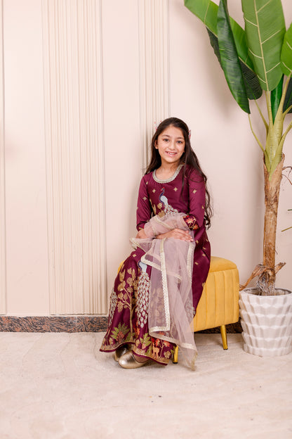 Wine Peacock Embroidered Girl dress Outfit Set ✨🦚